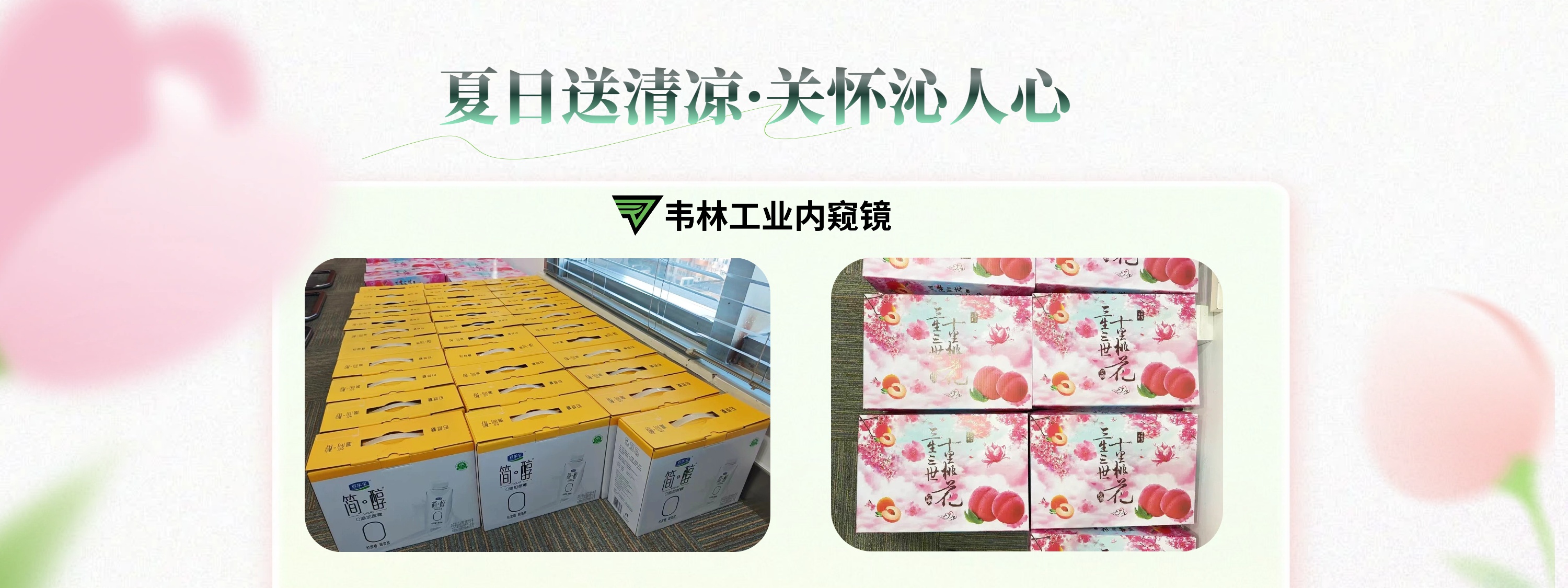 韋林(Everest)工業視頻內窺鏡-降溫福利